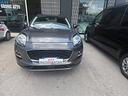 ford-puma-1-0-ecoboost-hybrid-125-cv-s-s-titanium