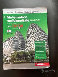 Malignani, 1a TLA: 1 Matematica multimediale.verde