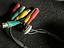 Immagine 3