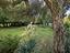 Immagine 12