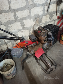 Motozappa 10cv a nafta Lombardini e 8cv a benzina