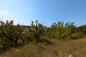 Terreno agricolo con baracca e allaccio acqua