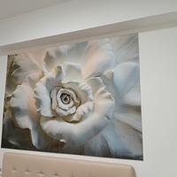 quadro 