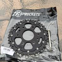 Corona, portatarga e catalizzatore duke 125