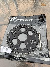 Corona, portatarga e catalizzatore duke 125