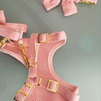 Pettorina cane femmina taglia piccola