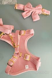 Pettorina cane femmina taglia piccola