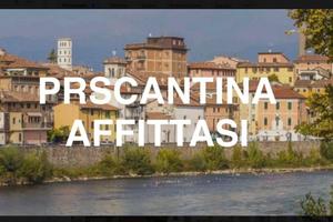 Pescantina-trilocale