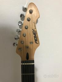 Chiatarra elettrica bianca e nera