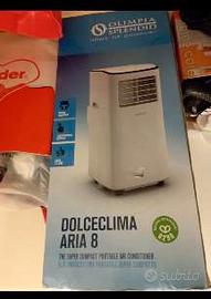 condizionatore portatile 