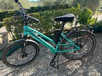 Bicicletta elettrica