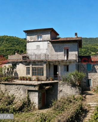 Terratetto Camporgiano [UG505DVVRG]