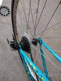 Bicicletta