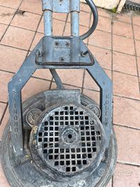 Monospazzola Raimondi