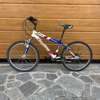 Bicicletta Lombardo da ragazzo