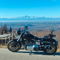 Harley Davidson Dyna low rider 103 FXDL - 2017 