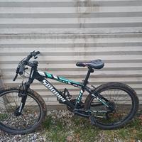mountan bike 