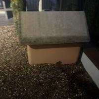 Cuccia per cane media taglia