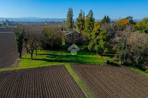 RUSTICO A REGGIO NELL'EMILIA