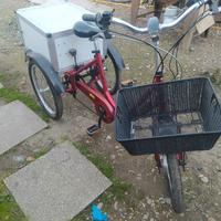 bici elettrica 