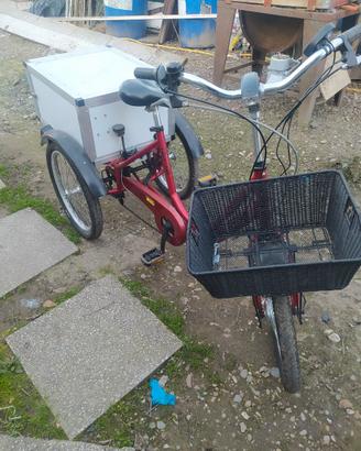 bici elettrica 