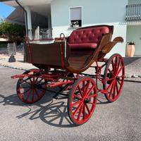 Carrozza cavalli