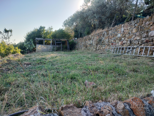 Terreno agricolo con annesso