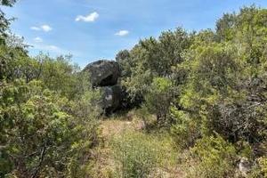 Terreno agricolo rif.21/25