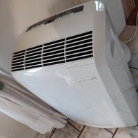 Pinguino de longhi come nuovo