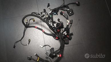Cablaggio ducati M1200R