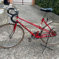 Bicicletta sportiva da donna