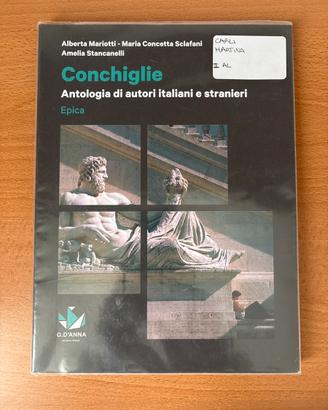 Conchiglie