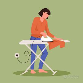 Stiratrice professionale