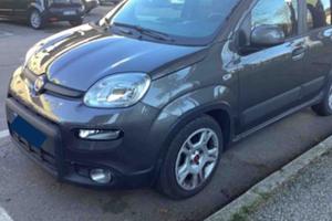 FIAT Panda 3ª serie Panda 1.0 FireFly S&S Hybrid