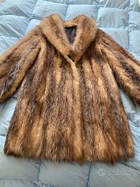 Pelliccia Marmotta usata