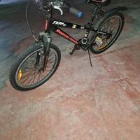 bicicletta 24