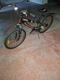 bicicletta 24