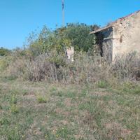 Agro Sorso terreno pianeggiante con rudere e pozzo