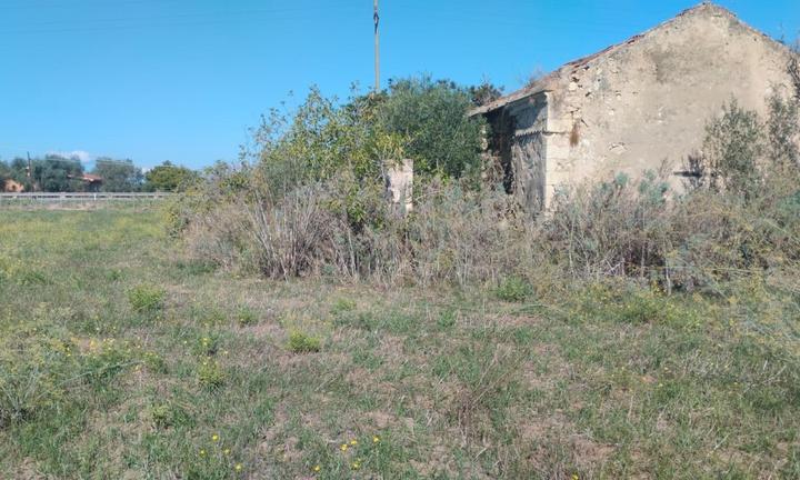 Agro Sorso terreno pianeggiante con rudere e pozzo
