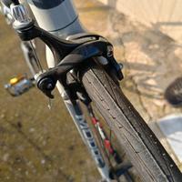 Bicicletta Whistle modoc