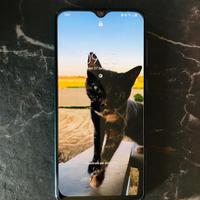 Samsung A30s 128gb (Dual Sim) + Accessori