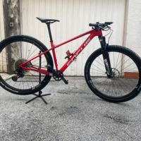 MTB Focus Raven Team