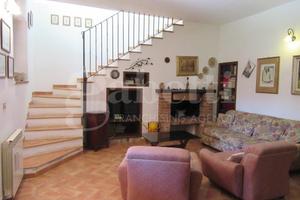 Rustico/Casale/Corte Roccastrada [25/009VRG] (Stic