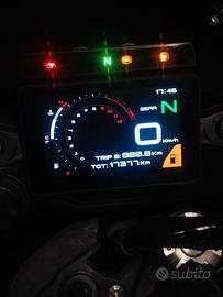 Benelli TRK 702 - 2023