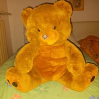 orsacchiotto trudi originali 