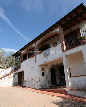 VS148 - Sinalunga villetta capotesta di mq