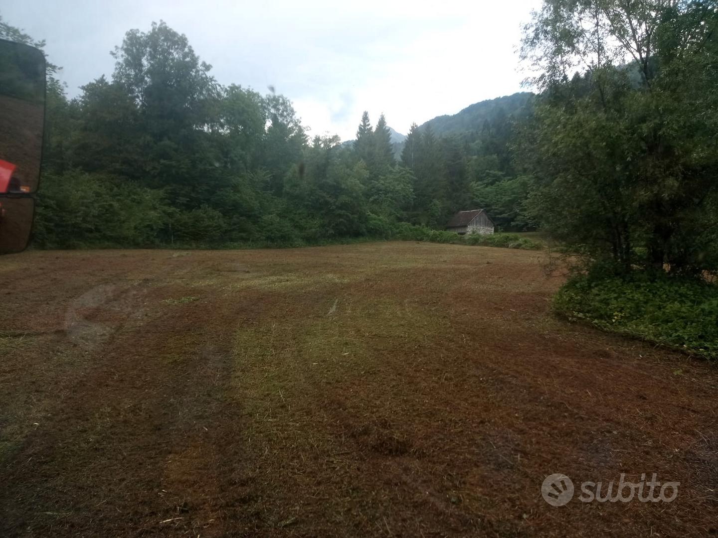 Terreno agricolo Raveo Carnia - Altro