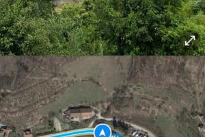 Vendita bosco ceduo collinare