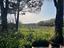 Immagine 21