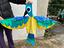 Immagine 3